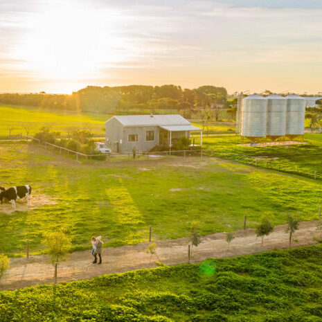 The Barn & surrounds