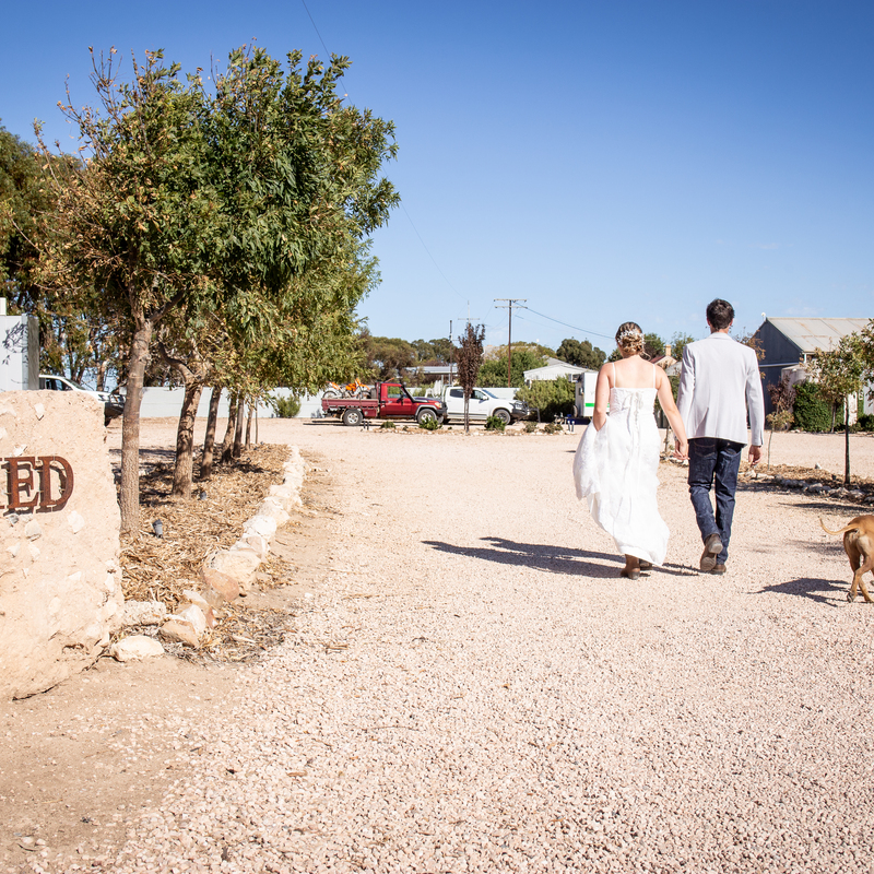 Photo: Ben Brooksby - The Naked Farmer