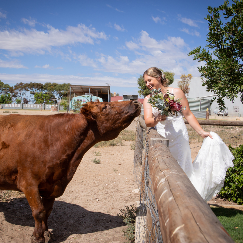 Ben Brooksby Photography